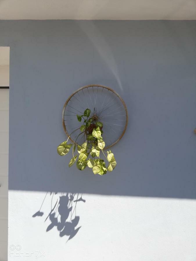Casa Del Cicloturista Apartment Santadi Exterior photo